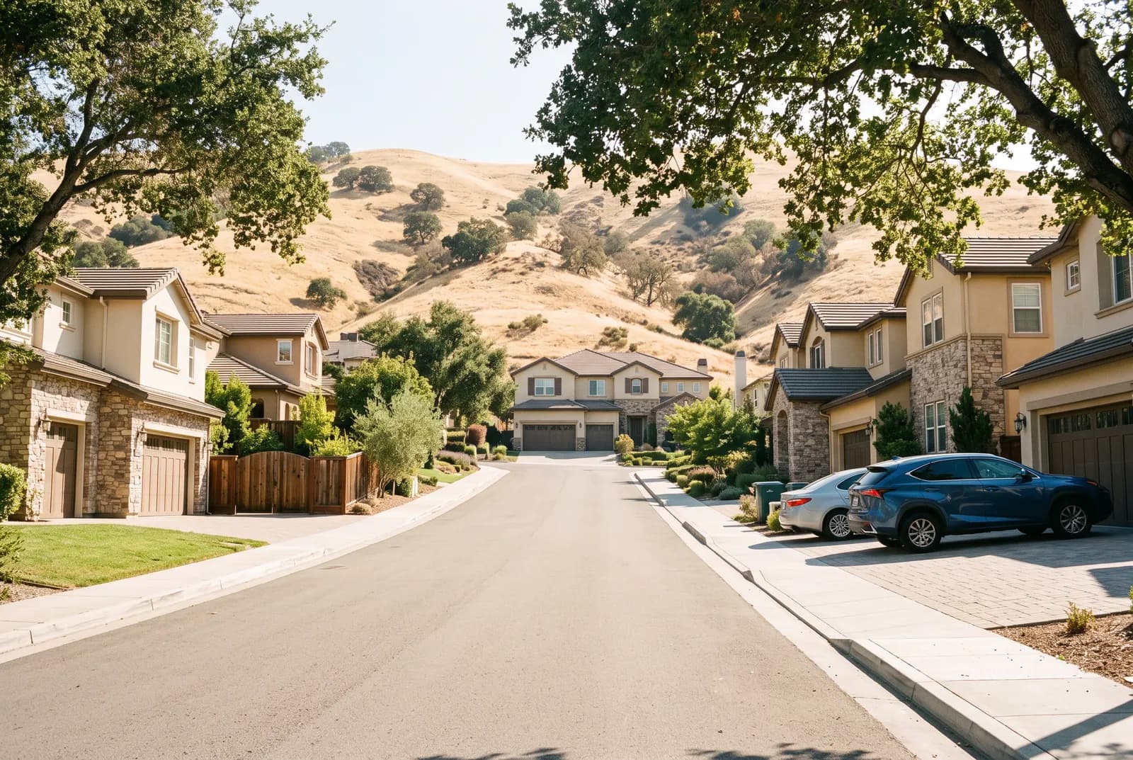 Levin serving Milpitas Hills