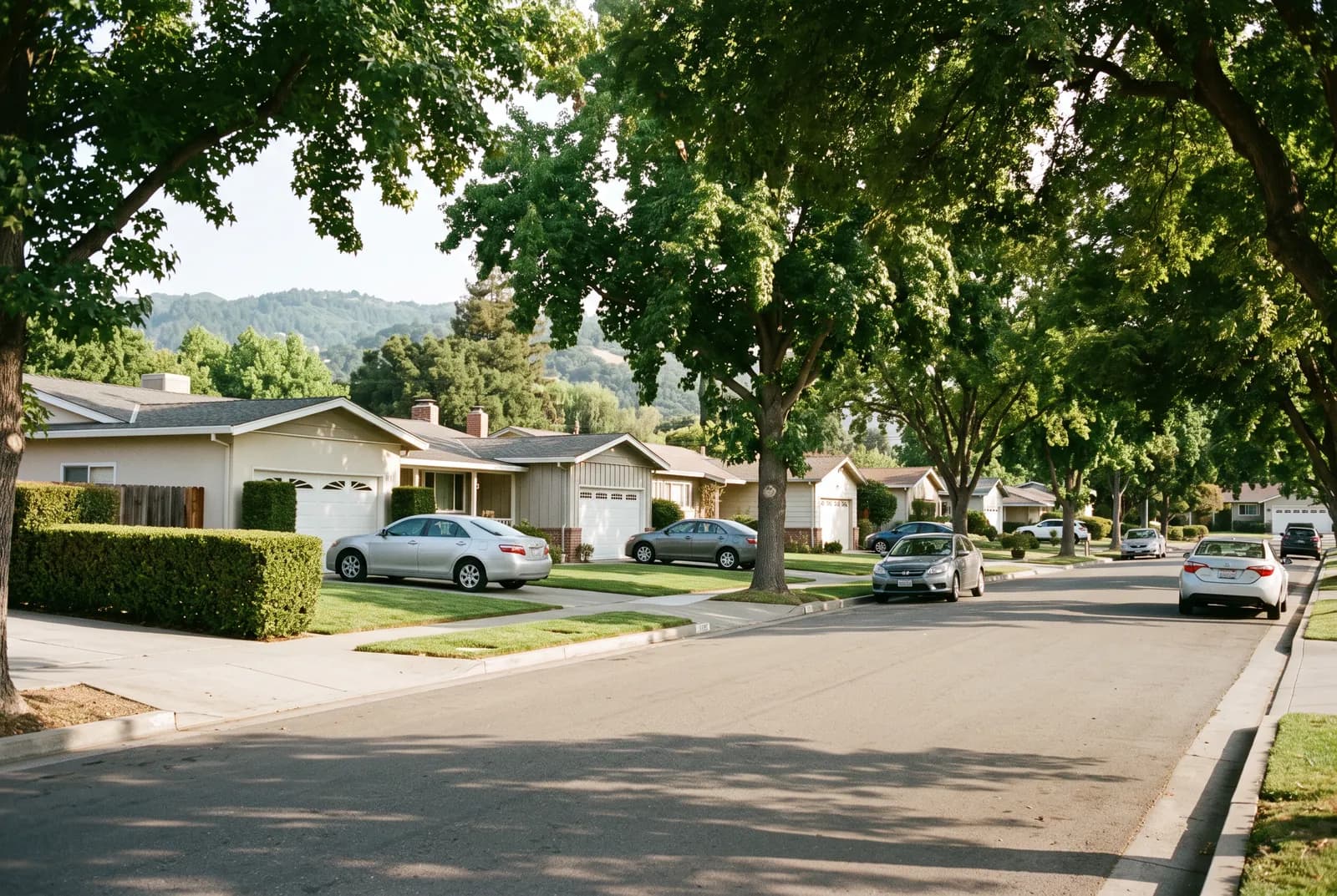 Levin serving Milpitas Manor
